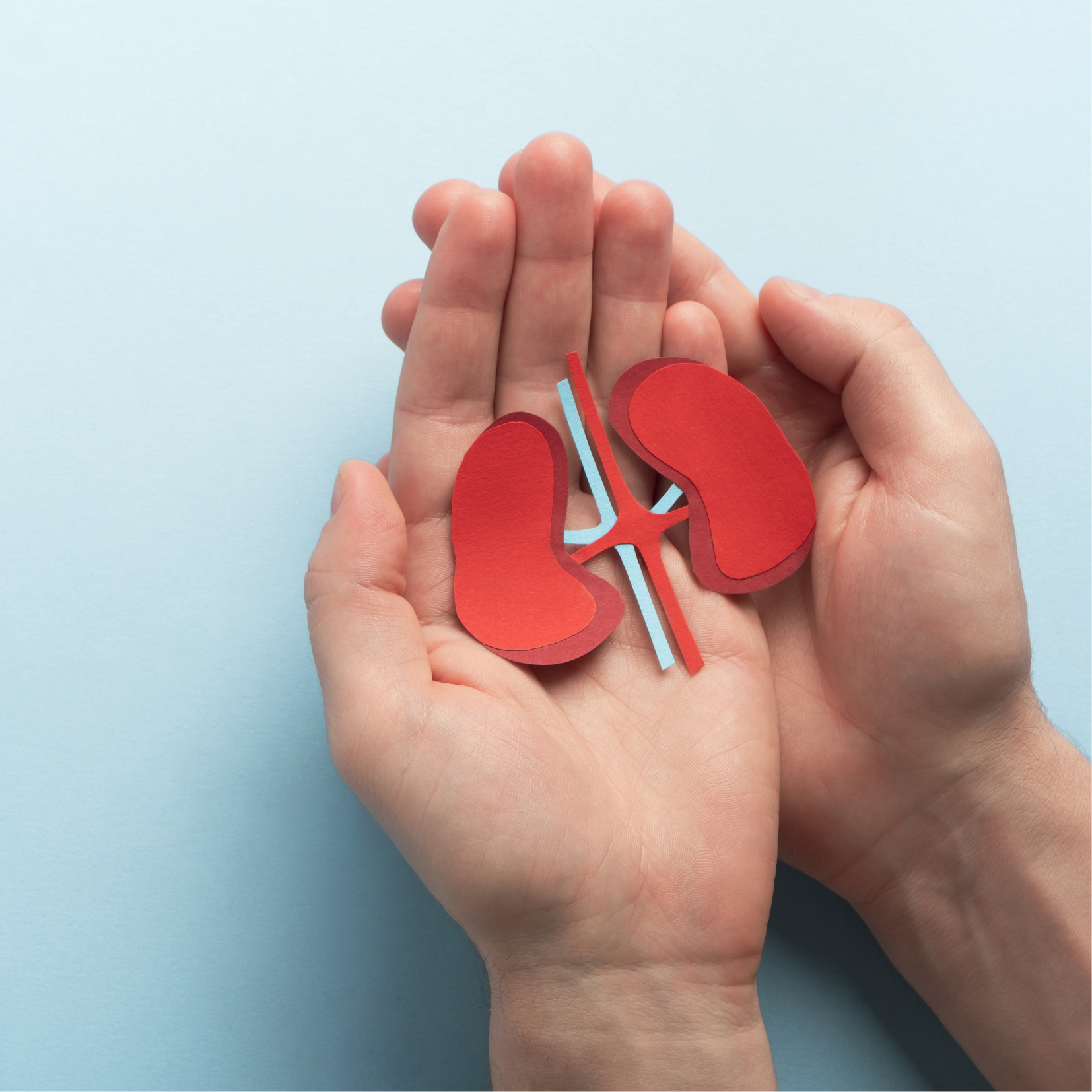 6677903a9ebb9f05362e693d